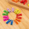 Suministro directo de fábrica mini color clip pequeño clip para fotos DIY clip de madera lindo clip para notas de jardín de infantes clip para mensajes