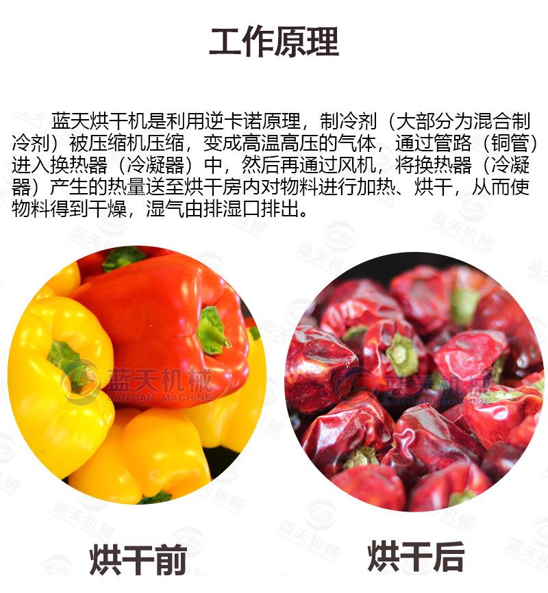 详情(20盘)_04.jpg