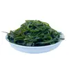 Kelp Salgado de Haste Curta Espesso Selvagem Fresco Seco Parcialmente 2,5kg Pacote