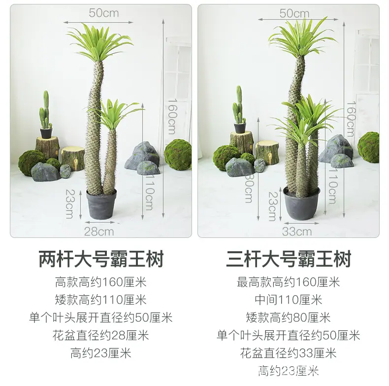 仿真霸王树系列_07.jpg