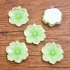 6 cores 24x26mm Acessórios de resina DIY Pingente de planta flor transparente para bolsas acessórios de joias para celular