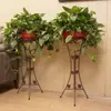 Estilo Europeo Espesor Hierro Forjado Soporte para Flores Multicapa Sala de Estar Piso Balcón Plegable Soporte para Flores Rábano Verde Soporte para Flores Envío Gratis