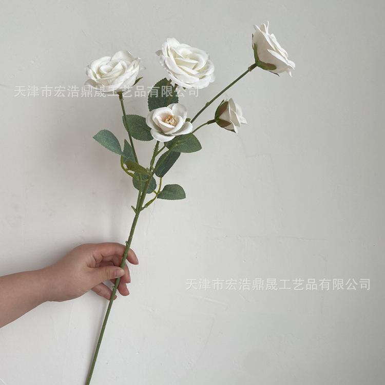 微信图片_202204111604483_副本