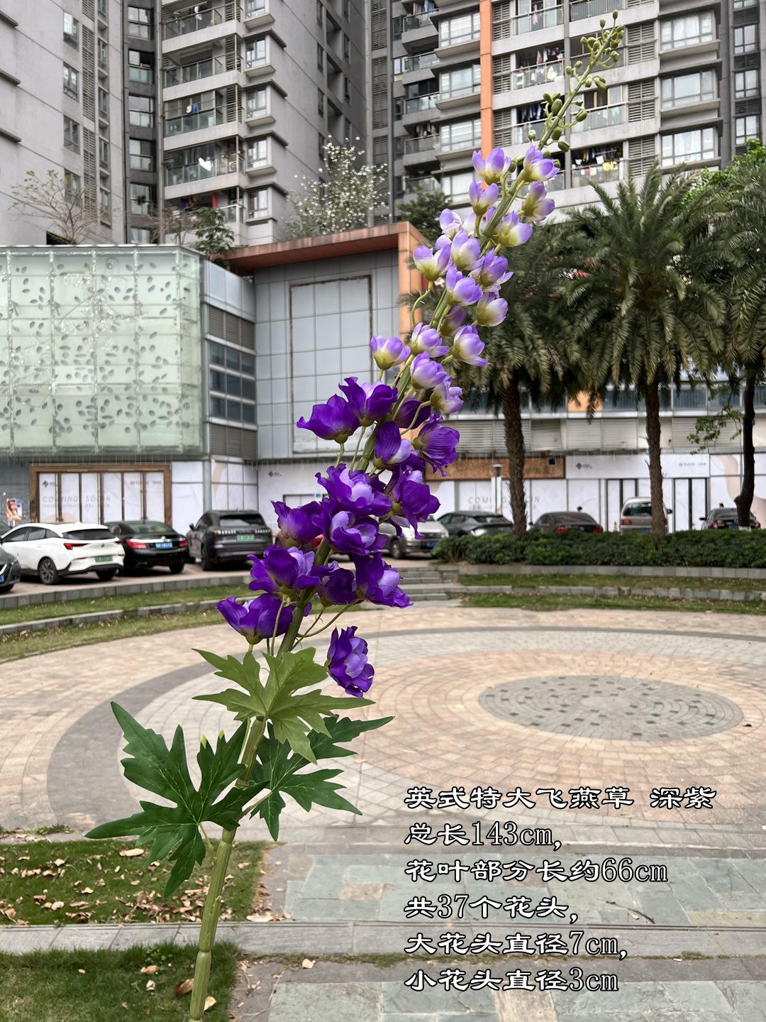 微信图片_20240330162501