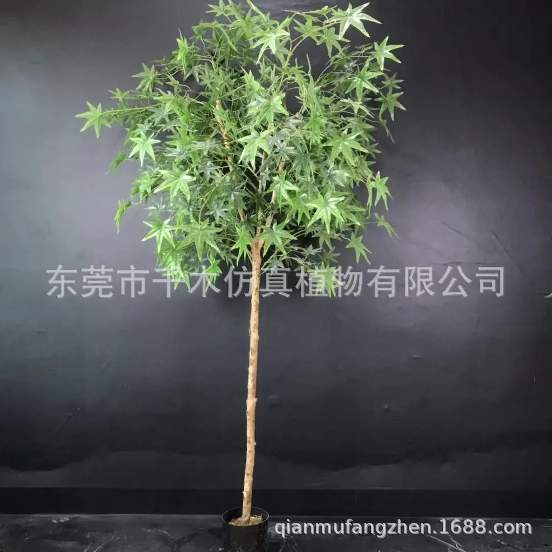 微信图片_20190928174320
