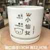 Maceta de Cerámica Tamaño Grande Oferta Especial Liquidación Interior Escritorio Balcón Suculenta Maceta Pequeña Clorofito Helecho Espárrago Maceta Simple Blanca