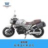 Coche muscle Wolf adecuado para baseke CL250-F bolsa lateral bolsa lateral caja lateral retro bolsa para casco impermeable liberación rápida