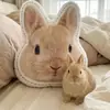 Almohadas con Forma Personalizada, Mantas Almohada, Fundas de Almohada con Fotos y Muestras, Personajes Lindos de Dibujos Animados y Anime, Almohadas en Forma de U, Almohadas para Coche