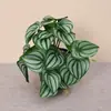 Hojas de begonia artificiales de pared, planta tortuga miniatura, planta tortuga pequeña, hoja de sandía miniatura, planta para micro paisajismo para decoración de pared, planta de interior con follaje verde