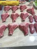 Modelo de Cerdo de Simulación Tienda de Carnicería Exhibición Resina Carne Cruda Cerdo Cordero Corte Artesanía Escena de Carne Carne Falsa