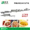 Línea de Producción Totalmente Automática de Copos de Maíz Equipo de Producción de Copos de Cereal para el Desayuno Equipo de Máquina Expansora de Copos de Maíz