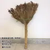 Escoba de Sorgo, Escoba de Sanidad, Herramientas de Limpieza para Escuelas e Instituciones, Escoba Tradicional, Escoba para Limpieza de Interiores, Escoba Dorada