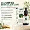 Sérum para el cuidado de las uñas con aceite esencial de árbol de té y jengibre, 7 días, transfronterizo, 30 ml, empaque neutro