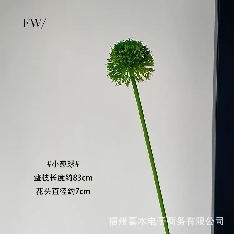 photo-output_4 拷贝.jpg