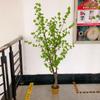 Loja de fábrica Árvore artificial Guindaste Cavalo Bêbado Vaso de madeira Jardinagem Sala de estar Plantas verdes falsas Pequenas árvores Decoração paisagística Enfeites para casa