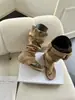 Nuevas Botas de Verano 2026, Sandalias de Tira, Botas Caídas de Moda Planas Tendencia que Aumentan la Altura, Botines
