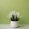 Flores Artificiales Falsas Muebles para el Hogar Adornos de Mesa Balcón Flores de Plástico Planta Verde Falsa Adornos de Plantas en Maceta Mini Decoraciones Bonsái