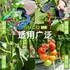 Nova Máquina de Amarrar Uvas da Shuchang, Pistola de Amarrar Videiras de Tomate, Dispositivo de Amarrar Galhos de Pepino e Ferramenta de Amarrar Cipós para Plantas