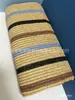 Bolsas de Mano Tejidas de Paja, Bolsos, Tela para Plantilla, Manualidades, Iluminación Tejida Colorida Stock Listo