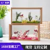 Muestra de Marco de Fotos de Flor Eterna, Marco de Exhibición Transparente de Plexiglás Hueco de Doble Cara, Marco 3D de Flor Seca DIY de 8 pulgadas