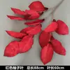 Arte Floral para Casamento Flor Vermelha Material de Fundo Decoração Ikebana Rosa Eucalipto Arranjo para Sala de Estar Interna