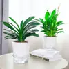 Maceta de plástico visual de nivel de agua simple al por mayor agujero de riego autoabsorbente suculenta de escritorio planta verde maceta producción Al por mayor