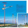 Suministro Directo de Fábrica Farolas Solares Personalizadas para Integración Municipal en Exteriores Panel Solar Wled de 6.3m Super Brillante