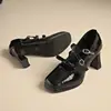 Plataforma Impermeável de Primavera e Outono Novo Mary Jane Sapatos Femininos Estilo Princesa Europeia Moda Bico Quadrado Salto Grosso Salto Alto 2025