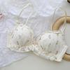 Íntimos Finos para Meninas, Íntimos Pure Desire, Sem Aros, Renda, Sexy Push-Up para Seios Pequenos, Conjunto de Sutiã Doce
