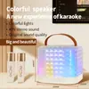 X6 K Song Áudio Doméstico Alto-falante de Vinil Bluetooth de Alta Potência Conjunto Microfone Sem Fio All-in-one para Cantar ao Ar Livre