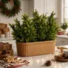 Plantas verdes artificiales, agujas de abeto, bayas rojas, piñas, decoraciones navideñas populares, accesorios para fotografía de regalos, plantas verdes artificiales