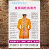 Diagrama de Gua Sha de Espalda Centro de Salud Belleza Cuerpo Humano Punto de Acupuntura Mural Medicina Tradicional China Cartel Promocional Pegatina de Diagnóstico de Columna Vertebral