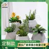 Decoración para el Hogar de Venta Caliente Transfronteriza Suculentas Artificiales en Maceta Planta Verde Artificial Escandinava Bonsái Plantas Artificiales Nuevas Creativas