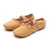 Zapatos de práctica de ballet profesional con costuras elásticas para mujer adulta, zapatos de baile de garra de gato, zapatos de baile chino, zapatos de danza folclórica