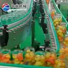 Equipo de Producción Totalmente Automático para Conservas de Fresa, Fabricante de Conjunto Completo de Equipo de Procesamiento de Piña enlatada