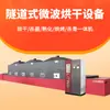 Equipamento de Secagem de Meio de Cultura de Cogumelos Comestíveis Liwei, Secador de Micro-ondas Tipo Túnel, Equipamento de Esterilização de Larvas de Tenebrio