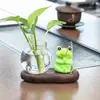 Pesca de rã planta verde vaso hidropônico vidro transparente flores cultivadas em água arranjo de flores vaso de flores decoração de mesa