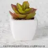 Suculentas Simuladas Personalizadas Cerámica Bonsái Plantas Verdes Escandinavas Adornos Hogar Interior Sala de Estar Flores Falsas Suculentas Plantas en Maceta