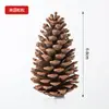 Piñas de Color Primario de Madera Planta del Noreste Piñas Colgantes para Árbol de Navidad Bolas de Pino Paquete de Material Hecho a Mano Decoración Navideña Piñas