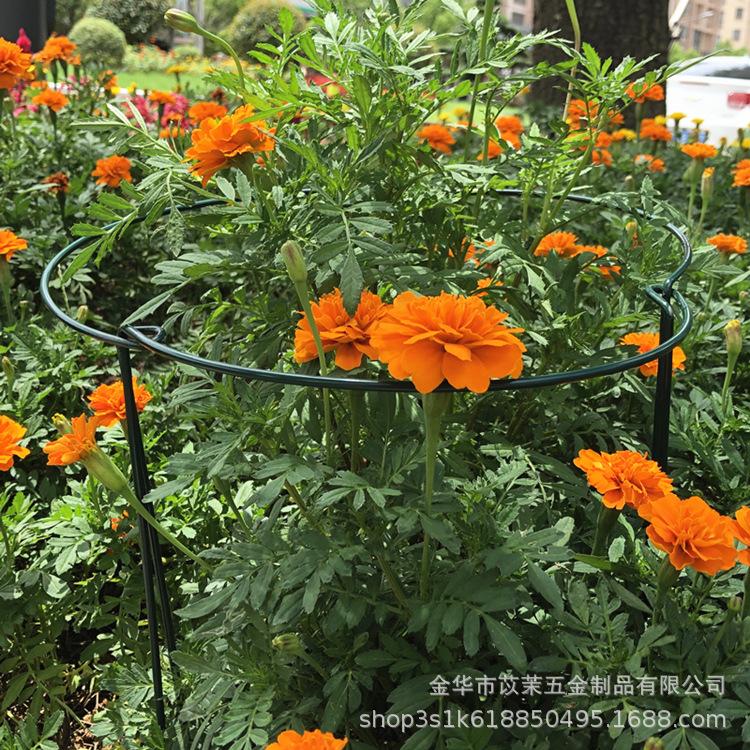 微信图片_20200730222446_副本.jpg