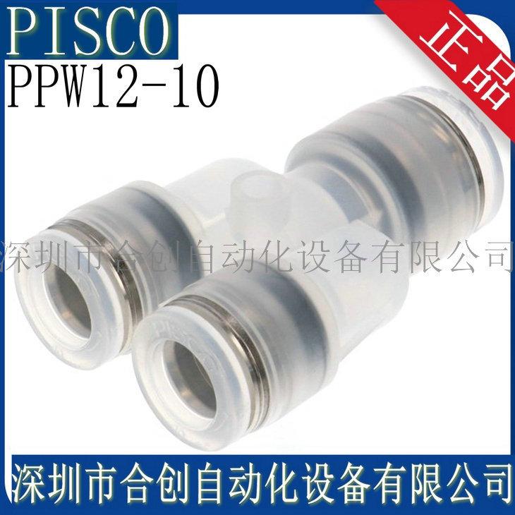 PPW12-10