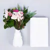 Algodão Hidrorretentor de Flores, Pacote de Algodão Hidratante para Raízes de Plantas, Material de Embalagem Retentor de Água, Folhas de Algodão Absorvente, Atacado em Estoque