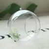Bola Acrílica Hueca Abierta, Bola Transparente Abrible, Bola Abierta, Bola de Plástico, Colgante de Bola Decorativa para Mini Paisaje