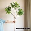 Simulación de una sola rama con múltiples tenedores Nantianzhu Zen Home Tea Room Decoración Adornos de plantas verdes Accesorios de fotografía Simulación de planta verde