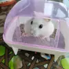 Arena para Baño de Hámster al por Mayor, Arena para Baño de Mascotas y Arena para Orina Dos en Uno Juego de Pala para Baño de Mascotas, Envío Directo de Una Pieza con Envío Gratis