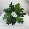 Helechos Verdes Reales, Helechos de Hojas Grandes, Plantas Verdes Decorativas de Selva Tropical, Materiales para Paisajismo Vertical