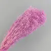 Flor y hierba eternas transfronterizas millón de Nebulosas fábrica del sur al por mayor colorido pequeño cielo estrellado diy flor seca aromaterapia flotante
