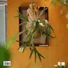 Veja Placa de Plantio Samambaia Cervo, Porta-Retrato de Plantio em Placa, Quadro de Plantio, Quadro de Resina para Plantação de Orquídea