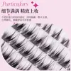 Galaxy Galaxy Pestañas Postizas Naturalmente Rizadas Segmento Individual de Racimo Ojos Hinchados de Cómic Agrandar Ojos Pestañas para Principiantes