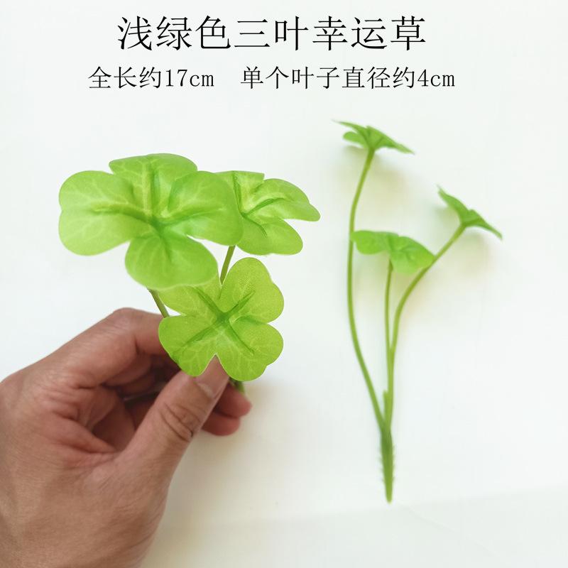 2022.6.1凌晨【浅绿色三叶幸运草】.jpg